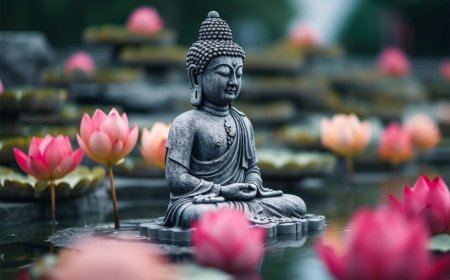 Buddha Purnima 2024: Essential Dos And Don’ts to Follow While Worshipping Lord Buddha