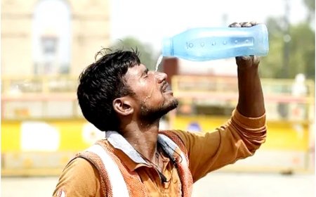 IMD Weather Update: No Relief From Heatwave As India Records Highest Temperature of 2024 | Deets Inside