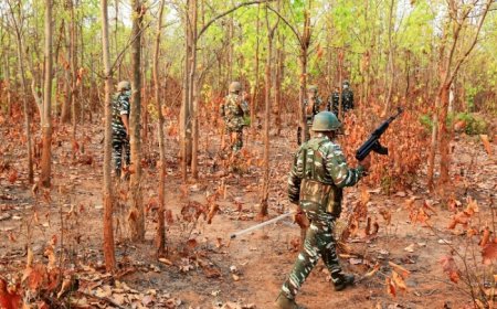 7 Maoists Killed in Gunfight in Chhattisgarh, Weapons Recovered | Details Inside