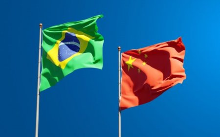 Brazil, China Call For Russia-Ukraine Peace Talks With Both Countries – Read Details Inside