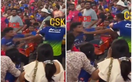 RCB-CSK Fans FIGHT During IPL 2024 Eliminator vs RR at Narendra Modi Stadium in Ahmedabad; Video Goes VIRAL | WATCH