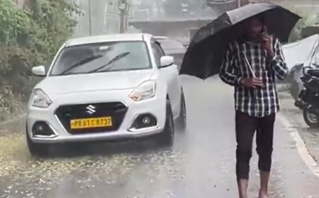 WATCH: Heavy Rain Lashes Parts Of Kangra Valley, Himachal Pradesh
