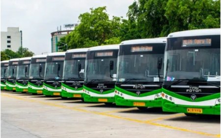 Delhi Lok Sabha Election: Are There Any Curbs on Buses, Metro on Poll Day? Check Here