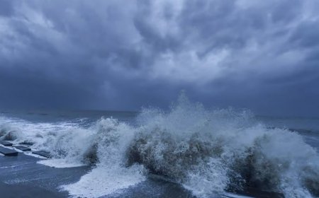 Cyclone Remal Live Updates: Storm To Make Landfall Around Midnight, Bengal on High Alert