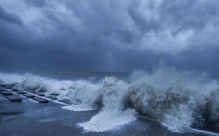 Cyclone Remal: IMD Issues Alert For THESE Areas; Check Key Points Of IMD Advisory And List Of Affected Places