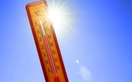 What Happens During a Heatstroke? Here is Why It is Damaging to Body and 5 Ways to Manage it
