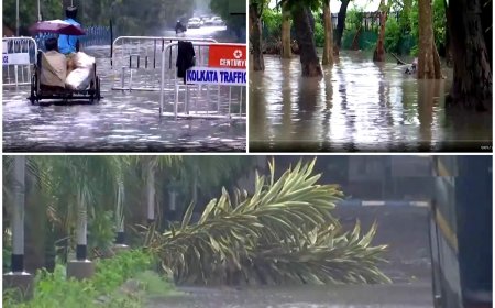 Cyclone Remal Aftermath: 2 Dead in Kolkata After Storm Makes Landfall in Bengal, Flight Ops to Resume After 21 Hours