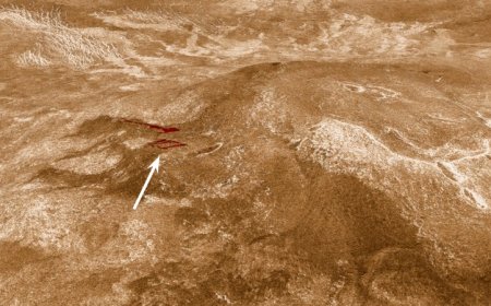 Venus might be as volcanically active as Earth