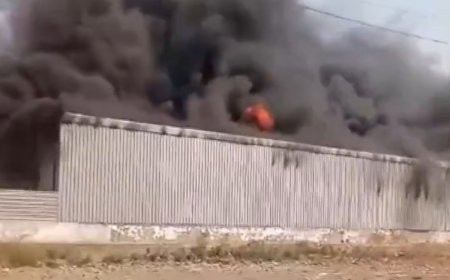 WATCH: Massive Fire Breaks Out At Godown In Ballabgarh, Haryana