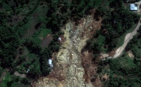 What Causes Landslides? Can We Predict Them To Save Lives?