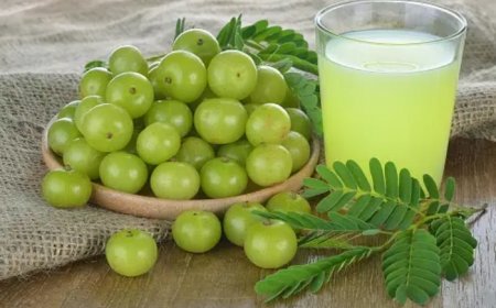 Amla Benefits: 6 Refreshing Ways To Enjoy Indian Gooseberry This Summer To Stay Cool And Healthy