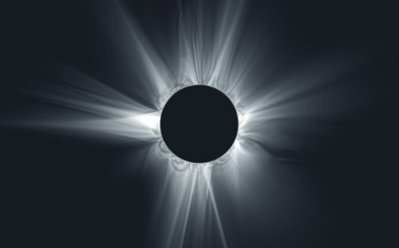 Here’s how predictions of the sun’s corona during the 2024 eclipse fared