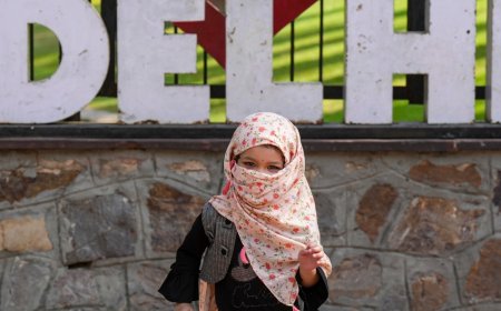 Delhi Weather Update: Was It Really 52.3 Degrees In National Capital? Here’s What IMD Starts Says