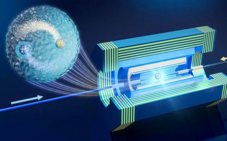 Scientists propose a hunt for never-before-seen ‘tauonium’ atoms 