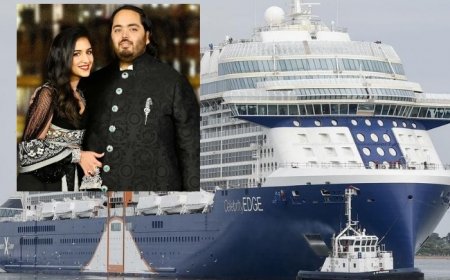 Check Whopping Price of Anant Ambani-Radhika Merchant’s Lavish Pre-Wedding Cruise Suite, Plus Jaw-Dropping Inside Pics!