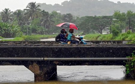 Monsoon Arrives In Kerala And Most Parts Of Northeast A Day Ahead Of IMD Forecast