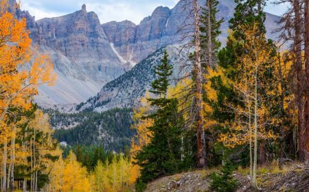 A national park is asking visitors for 'patience' and 'understanding'