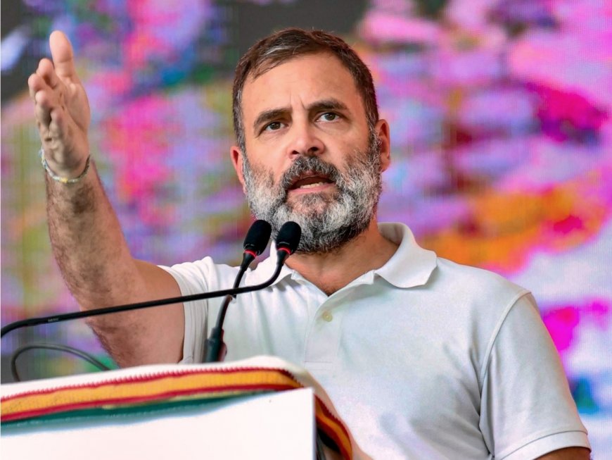 Lok Sabha Elections 2024: Rahul Gandhi To File Nomination From Raebareli, KL Sharma To Contest From Amethi