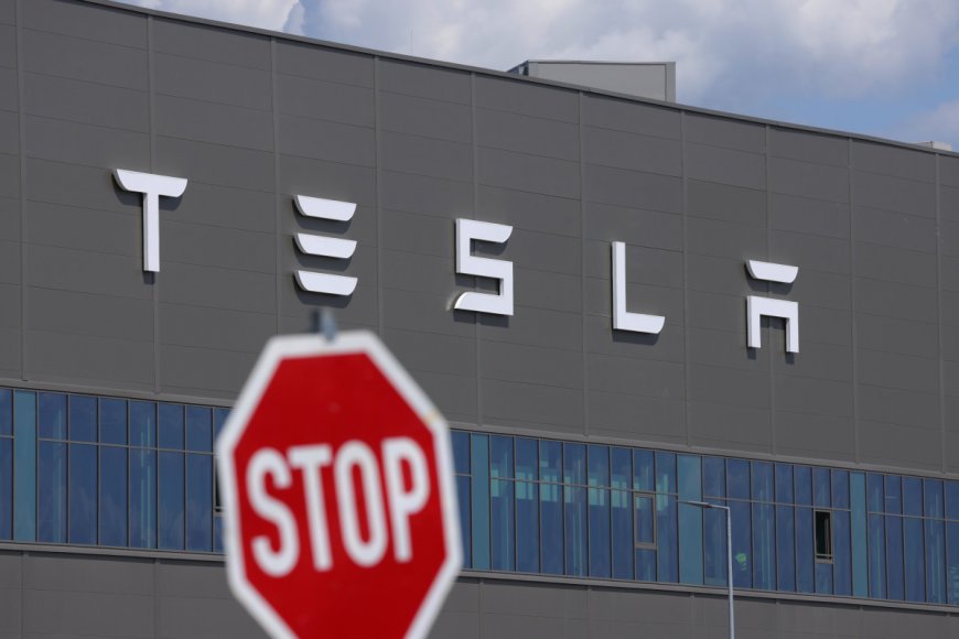 Climate activists target Tesla's German plant in latest actions
