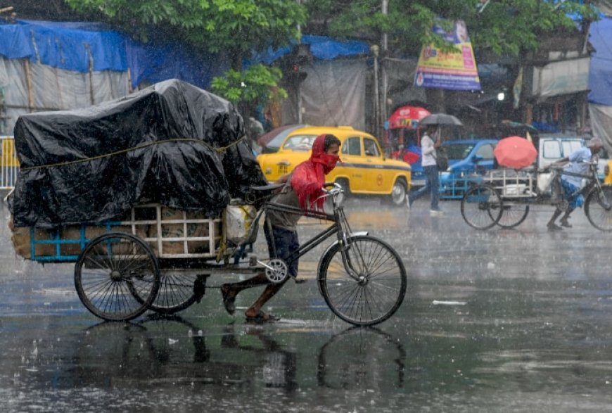 Tamil Nadu Weather Update: Yellow Alert Issued For 25 Districts, IMD Predicts Heavy Rains in Chennai