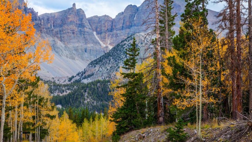 A national park is asking visitors for 'patience' and 'understanding'