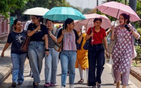 India Reports 56 Deaths Due To Heat Strokes, 46 Only In May: Health Ministry