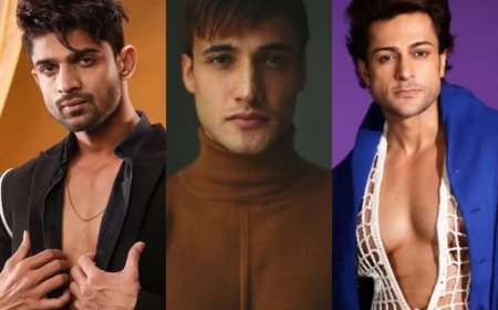 Asim Riaz’s Physical Attack Over Abhishek Kumar, Shalin Bhanot Causes Sudden Exit from KKK14