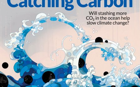 Readers discuss accessible images in print and potassium’s climate potential