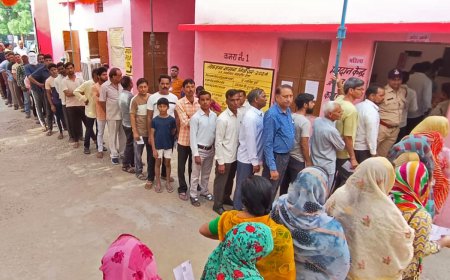Odisha Assembly Election Results 2024 Live Updates: Will BJD Form Govt Again? All Eyes on Naveen Patnaik