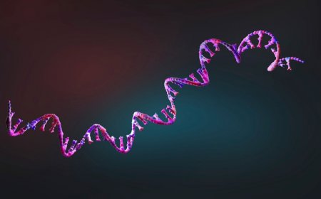 Thomas Cech’s ‘The Catalyst’ spotlights RNA and its superpowers