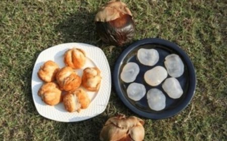 Prevent Heat Stroke to Promote Weight Loss, 5 Incredible Benefits of Adding Ice Apples to Your Summer Diet