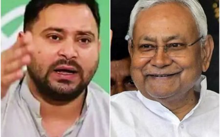 Nitish Kumar, Tejashwi Yadav Take Same Flight To Delhi Amid Buzz Of Opposition Outreach For Govt Formation