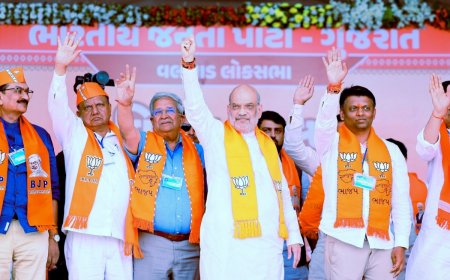Gujarat Lok Sabha Election Results 2024: 13 BJP Victors Win By Over 3 Lakh Votes; Amit Shah, Paatil Breach 7 Lakh Margin