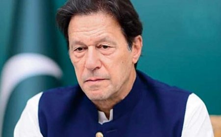 Imran Khan Met Over 400 People In Less Than 250 Days While Serving Sentence In Jail