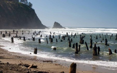 Geoscientists found the most dangerous part of a famous West Coast fault