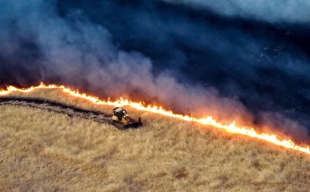 Wildfire smoke may cause tens of thousands of premature deaths