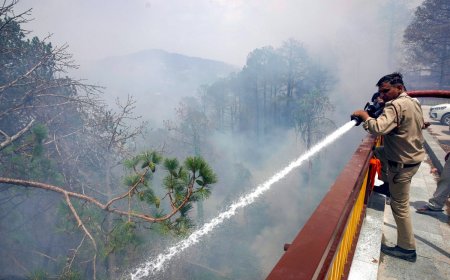 Heatwave Warning For Himachal Pradesh, Yellow Alert Issued As Una Reports 40 Degrees Plus Temperature