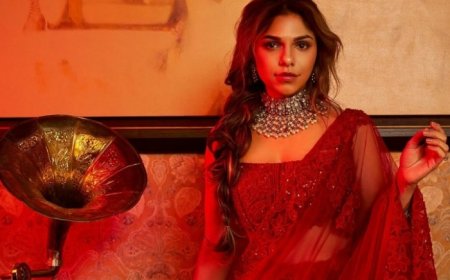 Heeramandi’s Sharmin Segal Reveals FIRST Salary For Working on ‘Mary Kom’