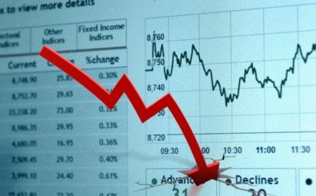 Plea Filed In Supreme Court, Seeks Orders To Government, SEBI To Submit Detailed Report Related to Stock Market Bloodbath