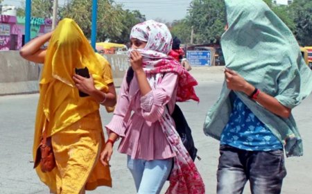 Gurugram Weather Update: Severe Heatwave Spell From Monday For Next Six Days, IMD Issues Yellow Alert