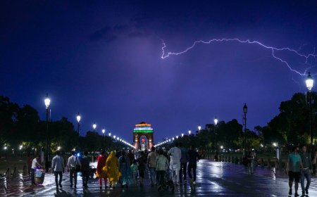 Delhi Monsoon: Saurabh Bharadwaj Reviews Preparedness with Multiple Departments | Details Inside