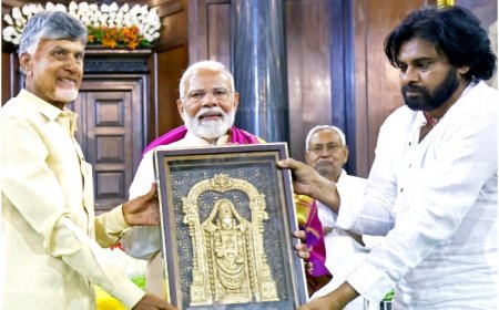 Pawan Kalyan Wants To Become Andhra Deputy Chief Minister, Seeks Cabinet Post: Report