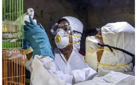 WHO Confirms Human Cas Of Bird Flu in West Bengal, 2nd Case Of Avian Influenza A(H9N2) Reported In India
