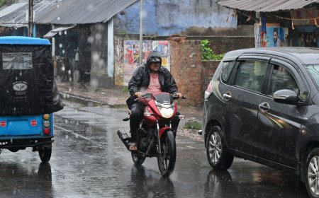 IMD Weather Update: Monsoon To Reach Bihar and Jharkhand By These Days | Check Full Climate Update Here