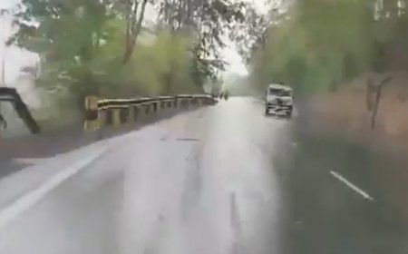 WATCH: Rain Lashes Several Parts Of Dang District, Gujarat