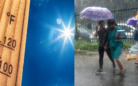 Haryana, Punjab Continue To Reel Under Blistering Heat; Monsoon Progresses In THESE States