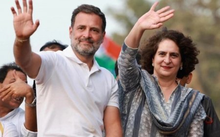 Priyanka Gandhi Vadra To Contest From Wayanad As Rahul Gandhi Retains Rae Bareli
