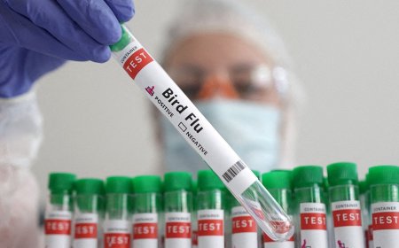 Bird Flu Outbreak In India: Another Case of H9N2 Avian Flu Reported; 7 Signs That You May be Infected