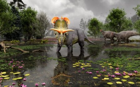 Meet Lokiceratops, a newly discovered species of horned dinosaur