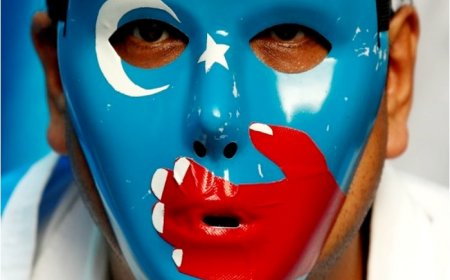 Human Rights Organizations Raise Concerns Over Xinjiang Situation, Demand Accountability